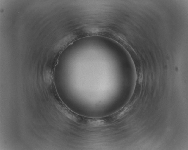 X0000073920476200608181054