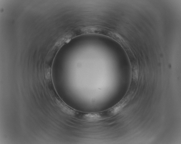 X0000073920477200608181054