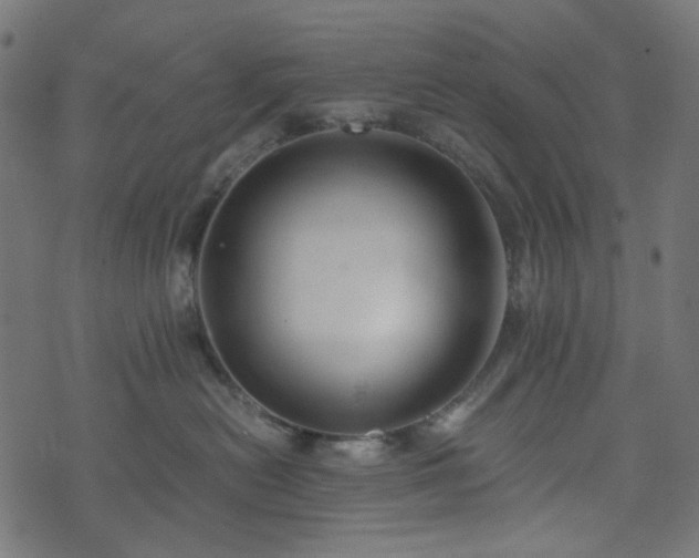 X0000073920478200608181054