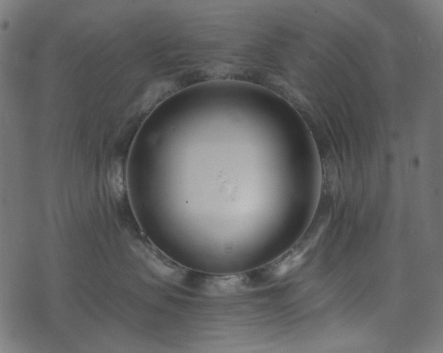 X0000073920479200608181054