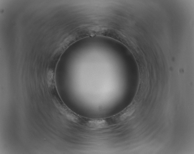 X0000073920480200608181054