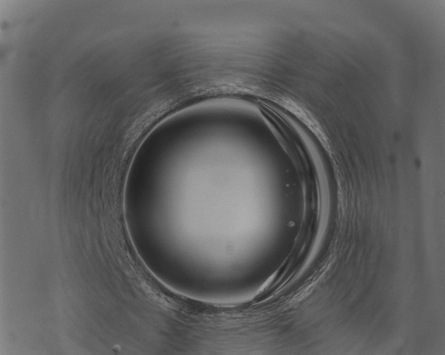 X0000073920481200608181053