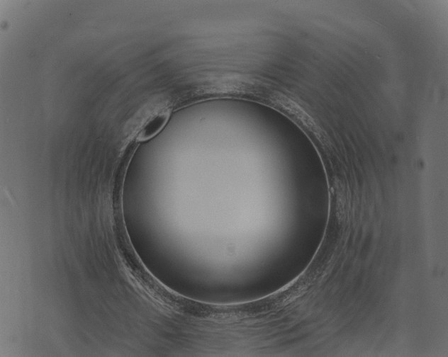 X0000073920482200608181053