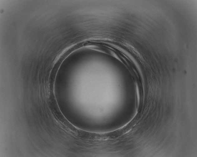 X0000073920484200608181053