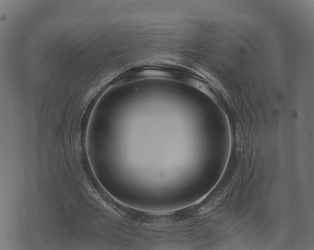 X0000073920485200608181053