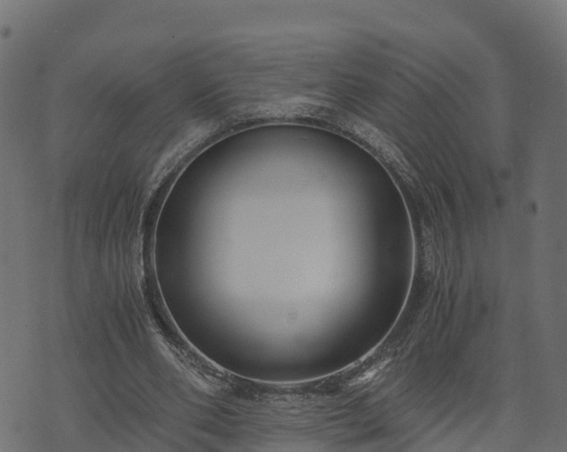 X0000073920486200608181053