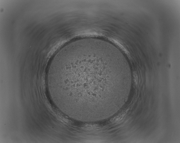 X0000073920487200608181053