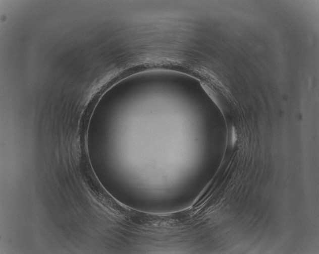 X0000073920488200608181053