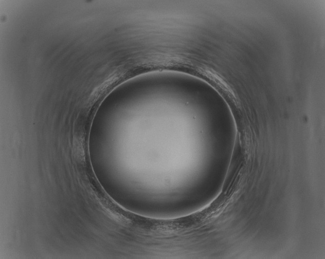 X0000073920489200608181053