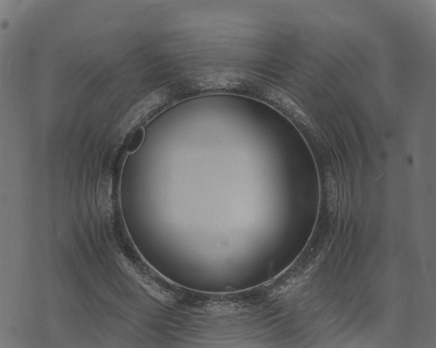 X0000073920490200608181053