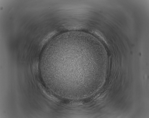 X0000073920491200608181053