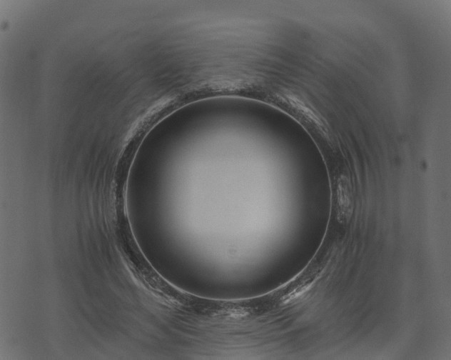 X0000073920492200608181053