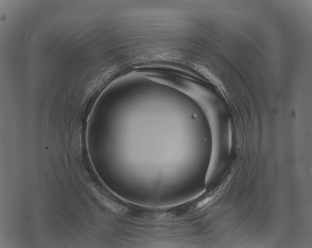 X0000073920493200608181053