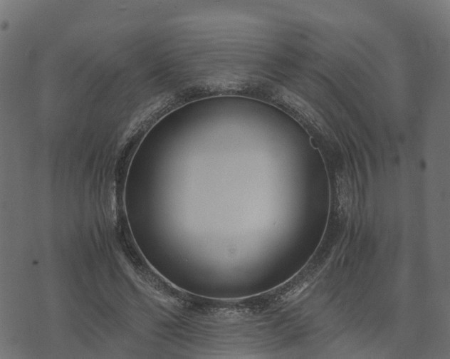 X0000073920494200608181053