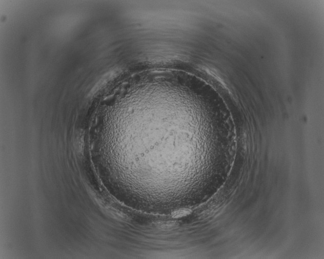 X0000073920495200608181053