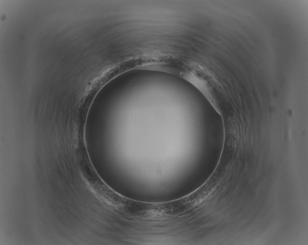 X0000073920496200608181053