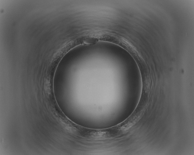 X0000073920497200608181053