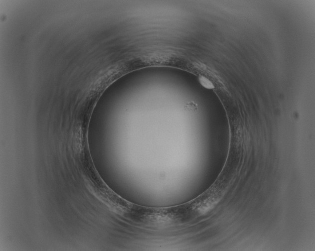 X0000073920498200608181053