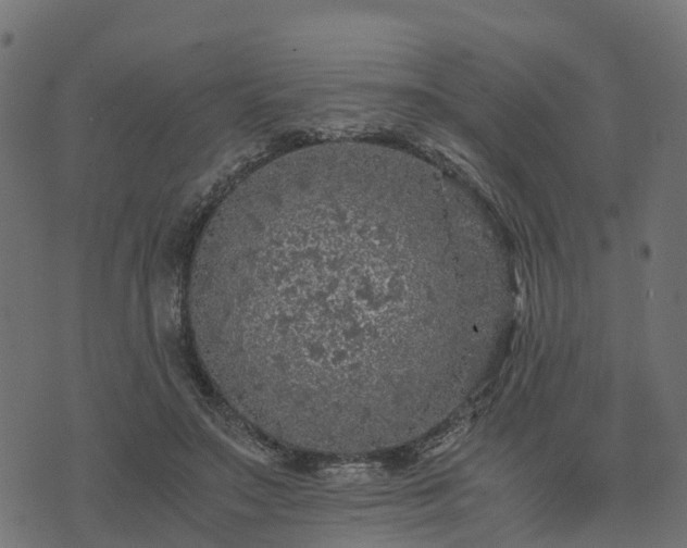 X0000073920499200608181053