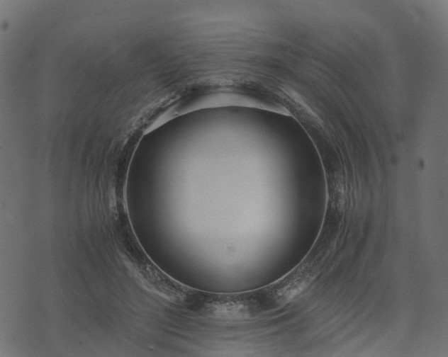 X0000073920500200608181053