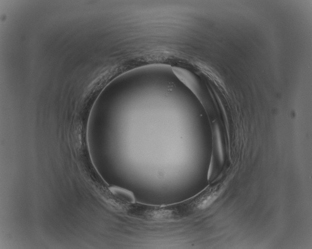 X0000073920501200608181053