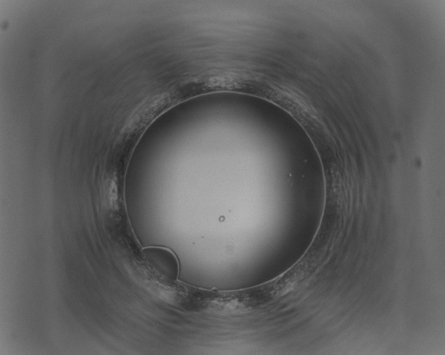 X0000073920502200608181053