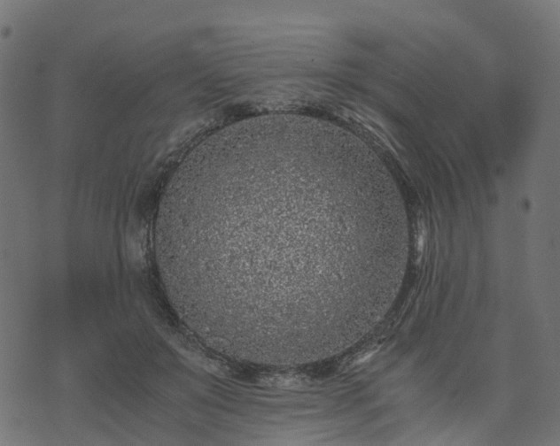 X0000073920503200608181052