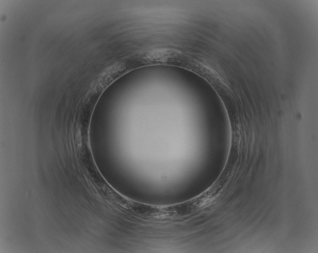 X0000073920504200608181052