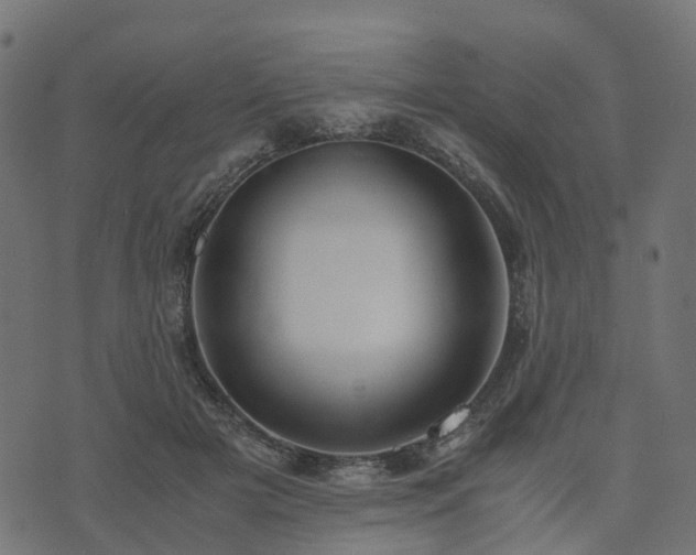 X0000073920505200608181052