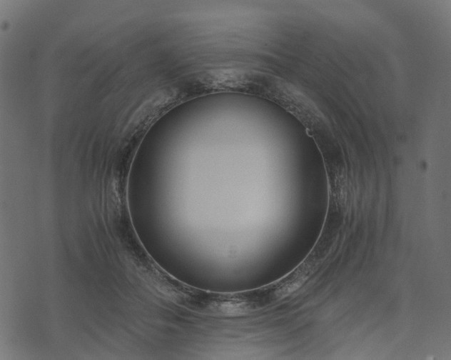 X0000073920506200608181052