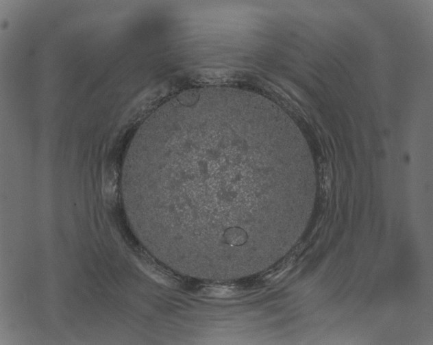 X0000073920507200608181052