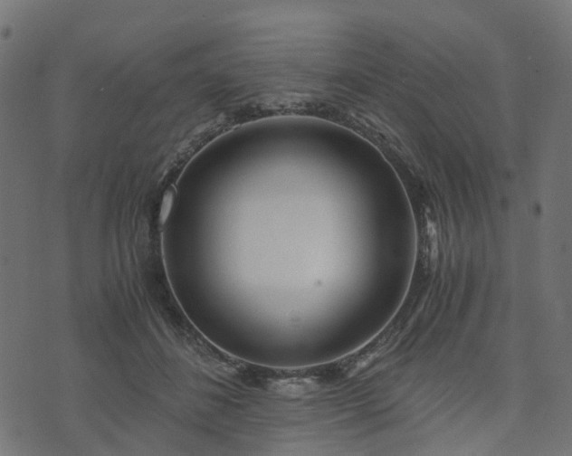 X0000073920508200608181052