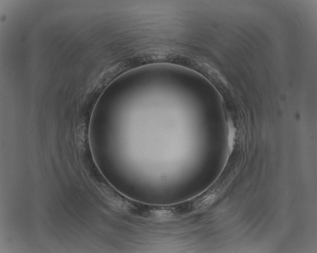 X0000073920509200608181052