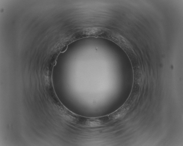 X0000073920510200608181052