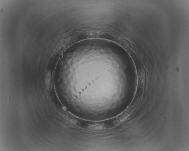 X0000073920511200608181052