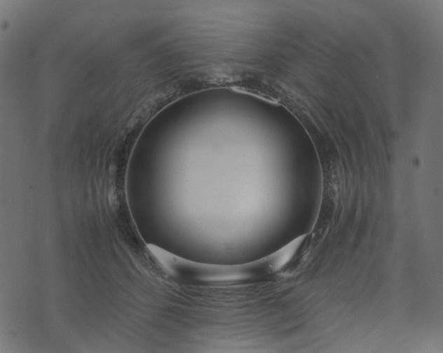 X0000073920512200608181052