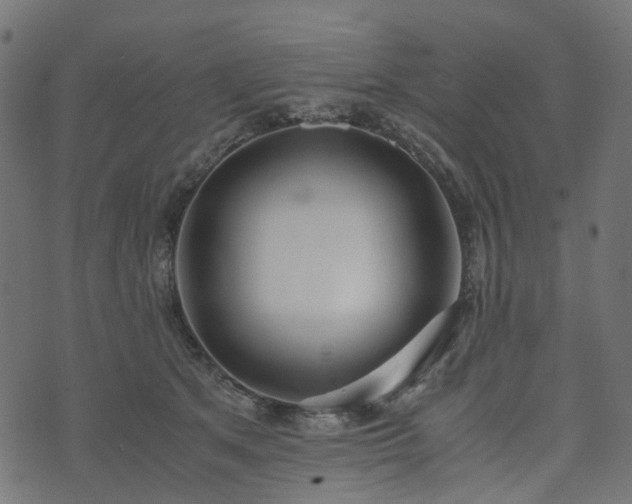 X0000073920513200608181052