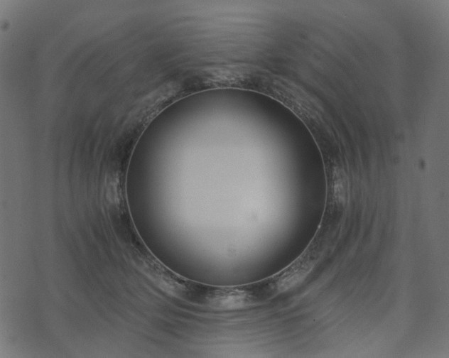 X0000073920514200608181052