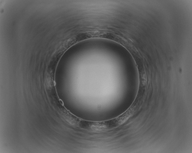 X0000073920515200608181052