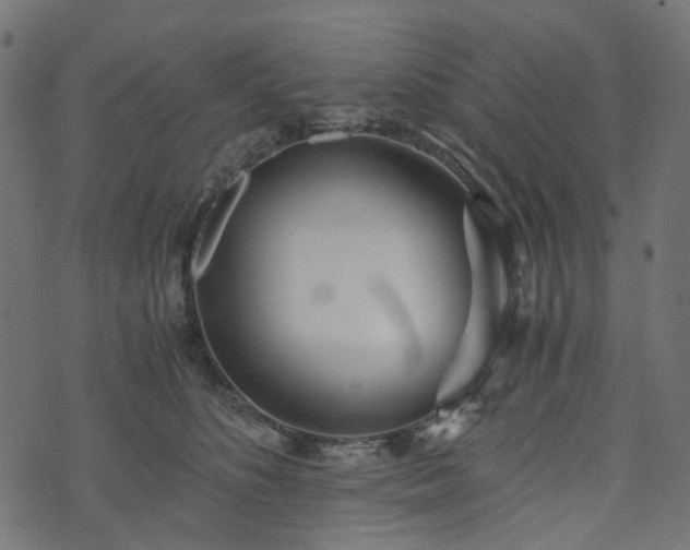 X0000073920516200608181052