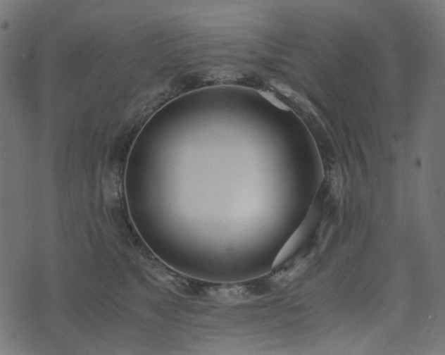 X0000073920517200608181052