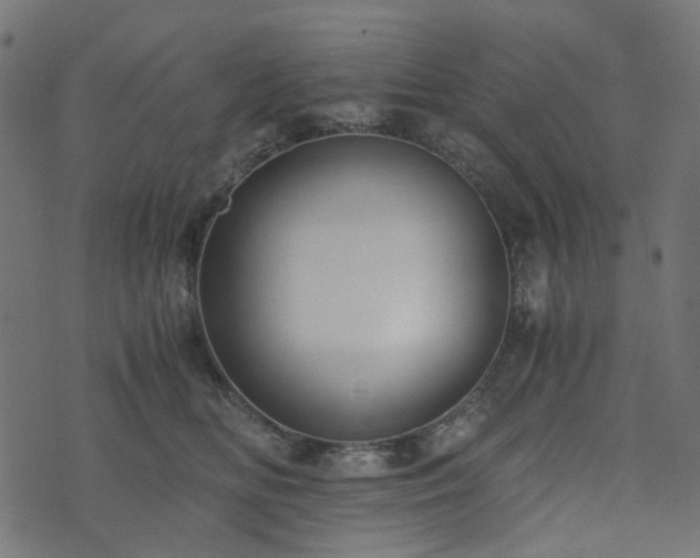 X0000073920518200608181052