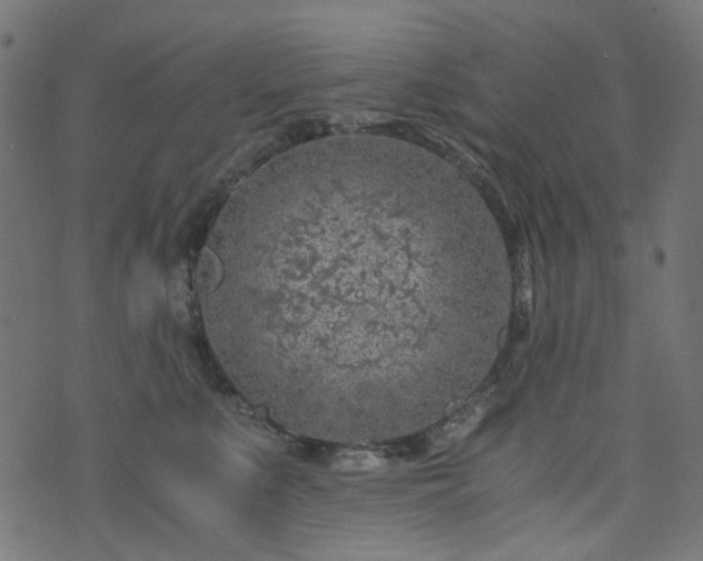 X0000073920519200608181052