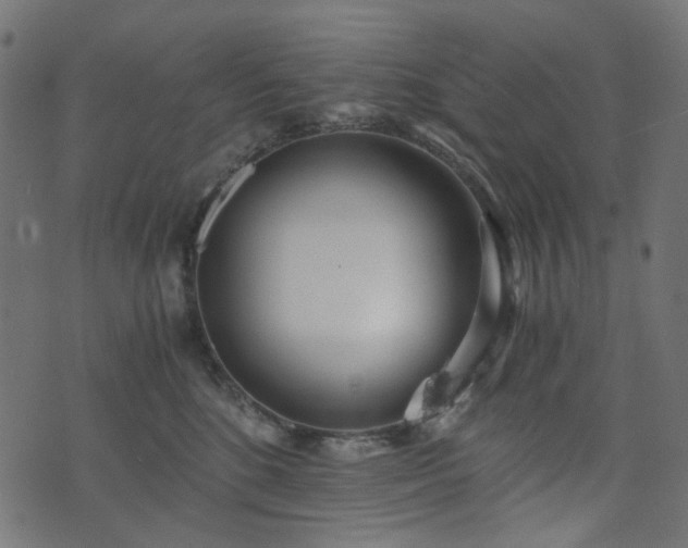 X0000073920520200608181052