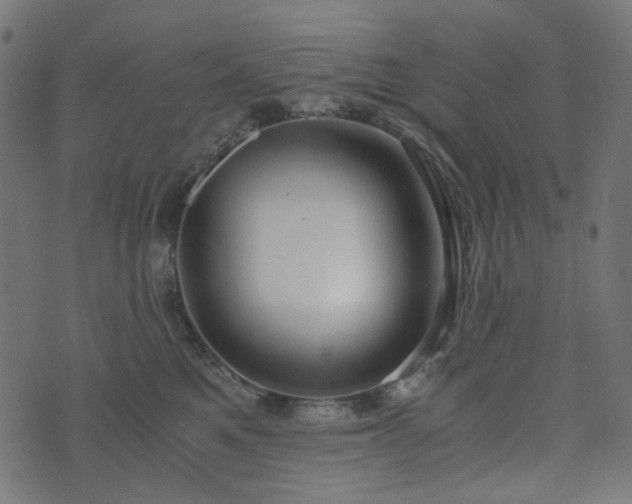 X0000073920521200608181052