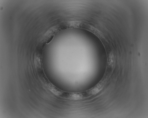 X0000073920522200608181052