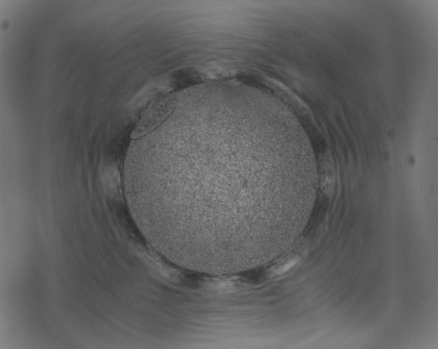 X0000073920523200608181052