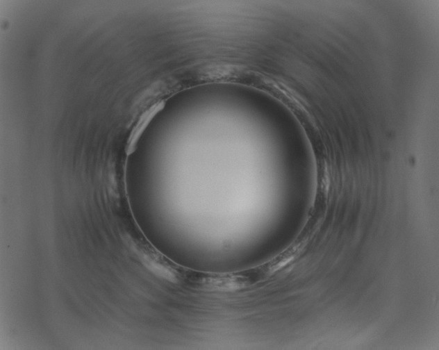 X0000073920524200608181052