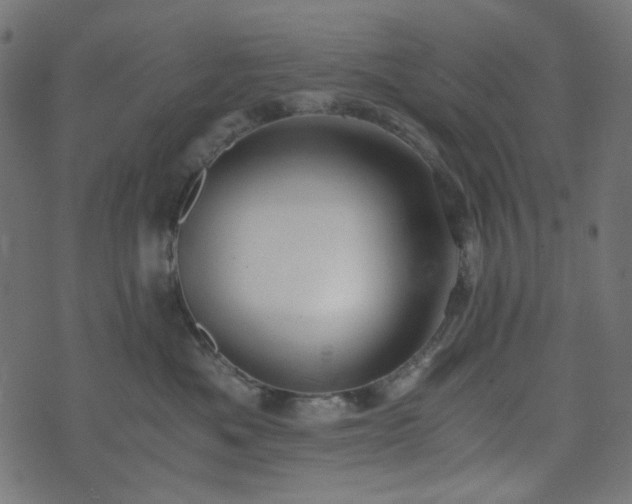 X0000073920525200608181052