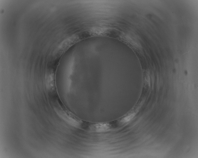 X0000073920526200608181052